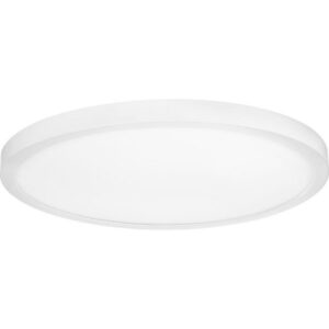 Progress Lighting - One Light Surface Mount - Close-to-Ceiling - Everlume -
