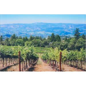 20" x 30" Personalized Acrylic Photo Print