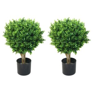 24 in. Romano Hedyotis Topiary Trees - 2 pc.