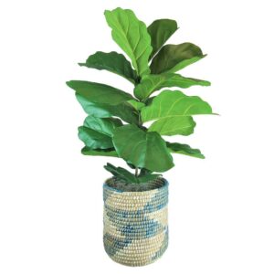 LCG Florals Artificial Plant, Deluxe Fig Plant, 4 ft, Blue and Cream Handwoven Basket