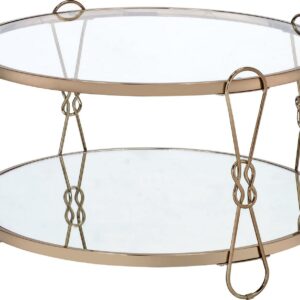 Acme Zekera Metal Frame Coffee Table in Champagne & Glass