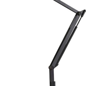 Adesso Home Gordon Metal LED Desk Lamp in Black