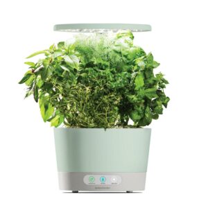 AeroGarden Harvest 360, Sage with Gourmet Herbs Seed Kit