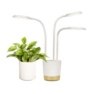 AeroGarden Trio Grow Light for Indoor Plants, Cream