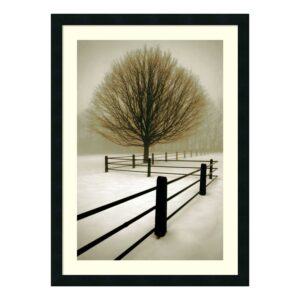 Amanti Art David Lorenz Winston "Solitude" Framed Print Art 32.88" x 24.5" DSW01114