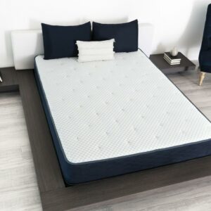 Arctic Dreams 10" Hybrid Mattress with Cool to Touch Fabric, Queen