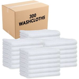 Arkwright Eclipse Irregular Washcloths (Bulk Case Pack of 300, White) Perfect Wash Cloth Towels for Home, Kitchen, Bathroom