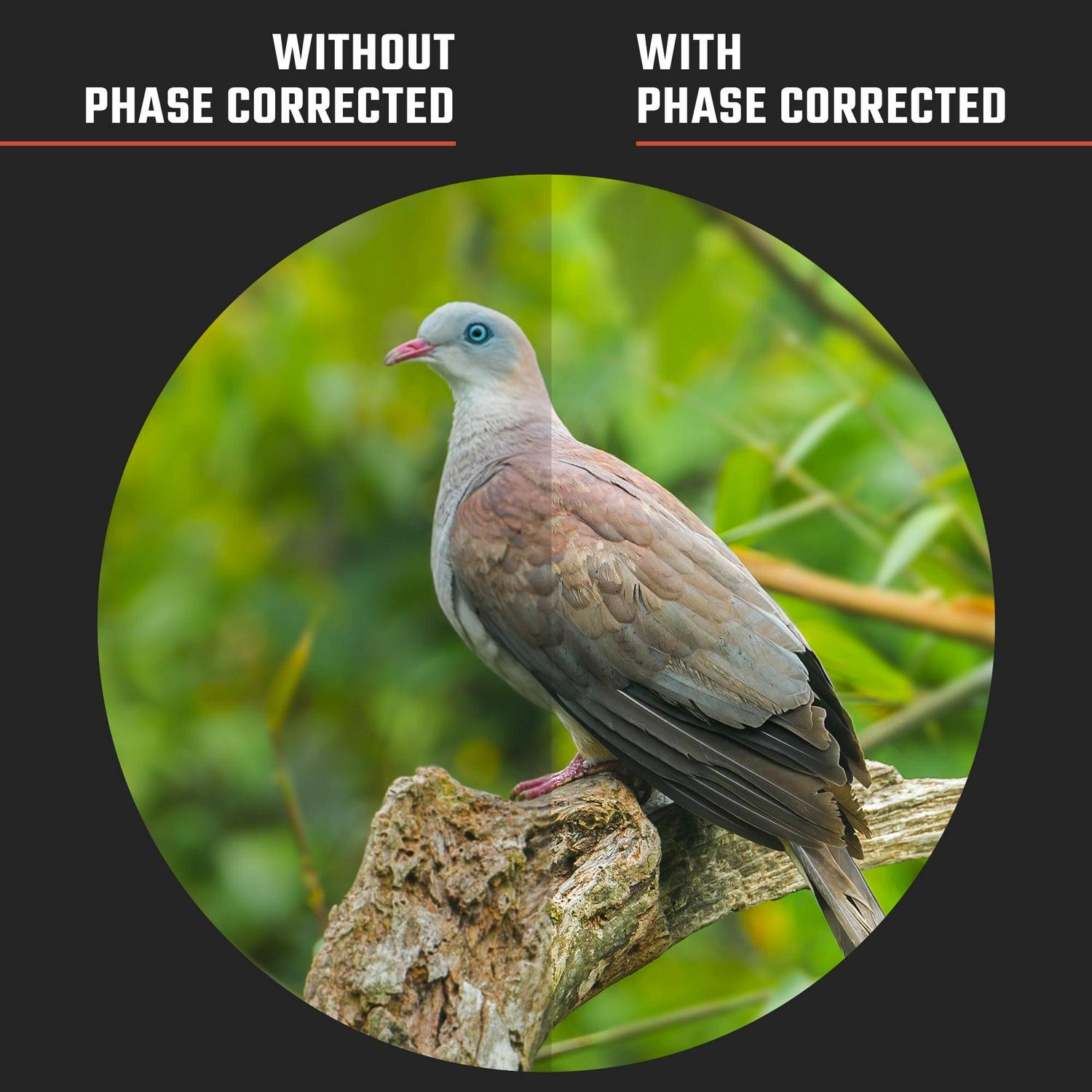 Athlon Optics Neos G2 HD Binocular - 10x42 , Black - Image 5