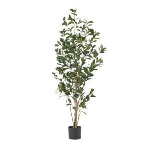 Atoka 5.5' x 2' Artificial Tabletop Laurel Tree, Green