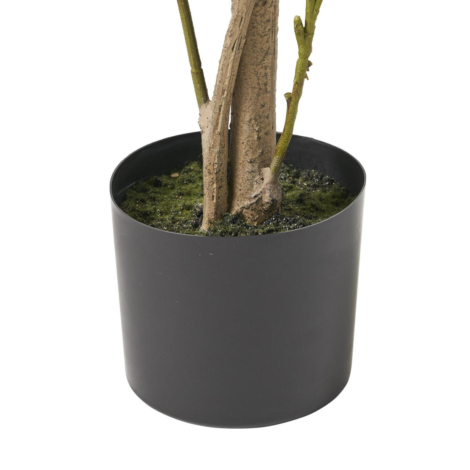 Atoka 5.5' x 2' Artificial Tabletop Laurel Tree, Green - Image 4