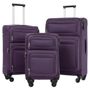 Aukfa Softside Expandable Luggage with Spinners, 3-Piece Suitcase Set for Travel (20/26/30), Purple