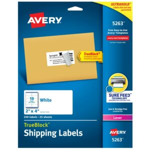 Avery Laser Shipping Labels with TrueBlock Technology, White 2" x 4", Pack of 250 and Quality Park Tyvek Expansion First Class Envelopes Bundle