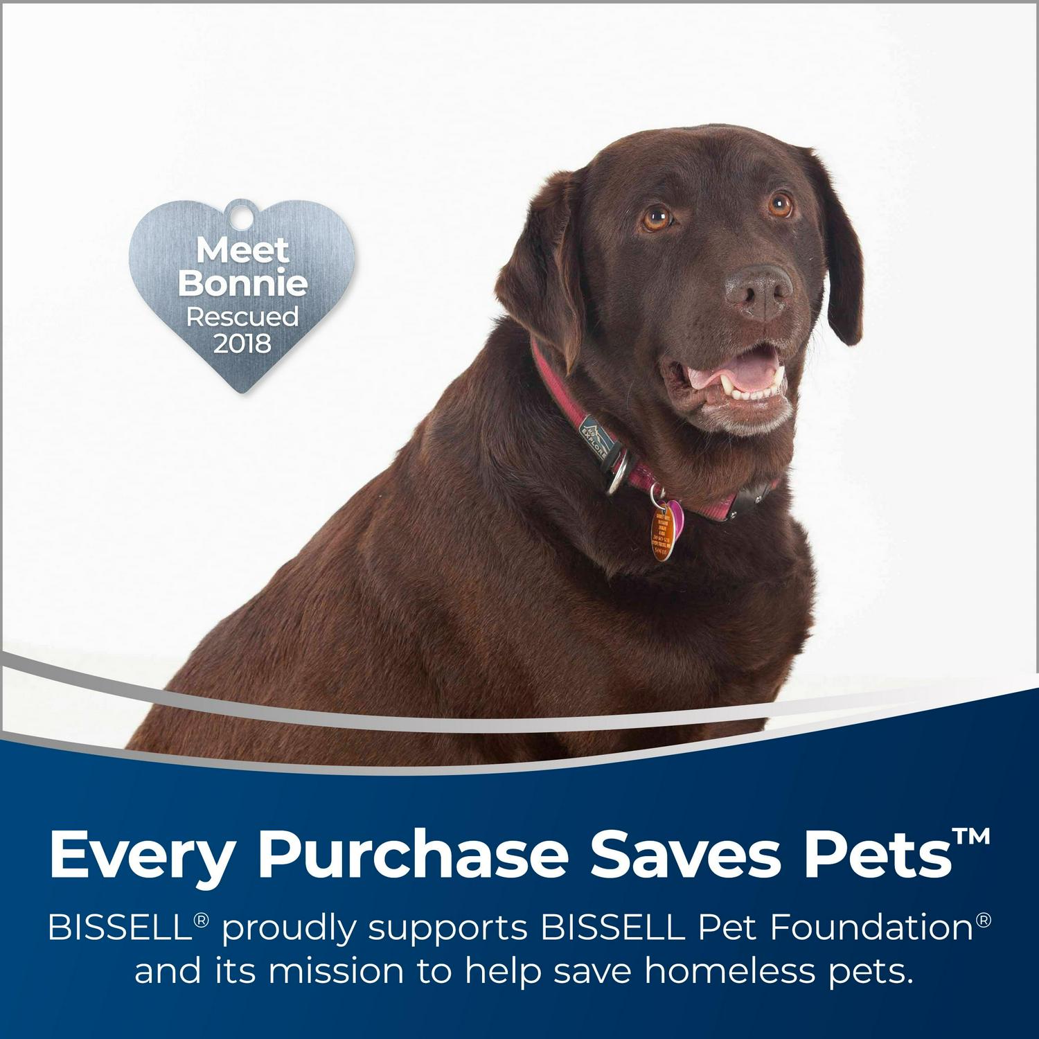 BISSELL SpinWave Wet, Dry Robotic Vacuum Cleaner 28599 - Image 2