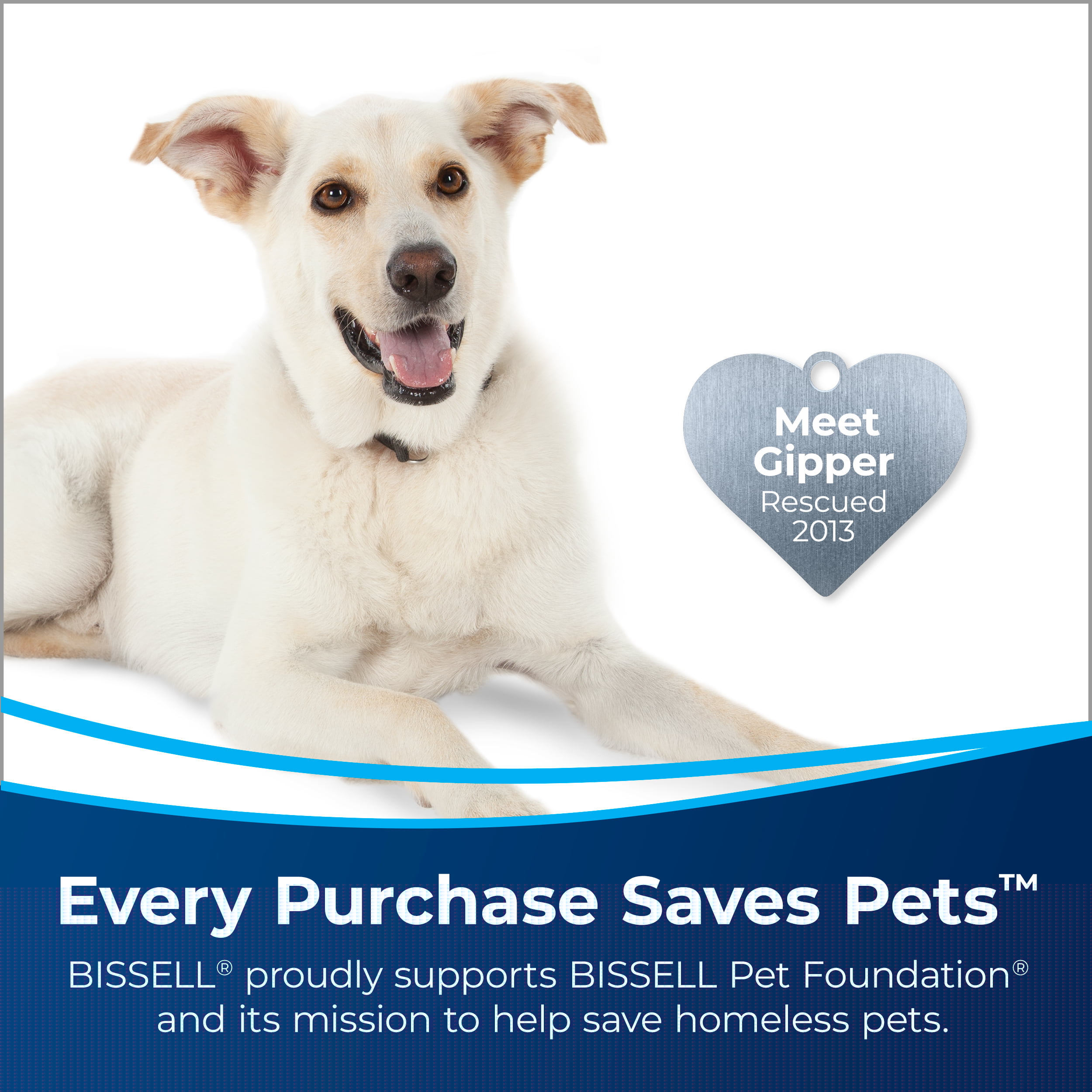 BISSELL SpotBot Robotic Hands Free Portable Carpet Cleaner, 2117 - Image 7