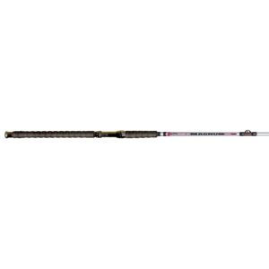 B'n'M Pole Company Silver Cat Magnum 10 Ft. Spinning Rod