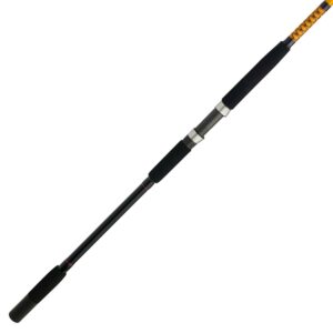 Ugly Stik Bigwater Spinning Rod, 15' Heavy Fishing Rod, 2 Piece