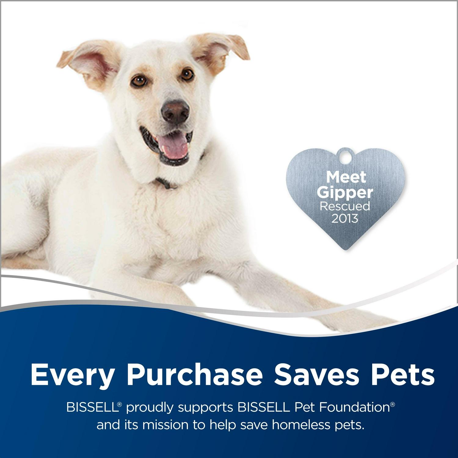 Bissell Crosswave + Multi Surface 64oz - Image 2