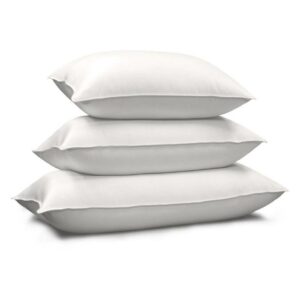 Blue Ridge Siberian 1000-Thread-Count Egyptian Cotton Down Pillow, White, King