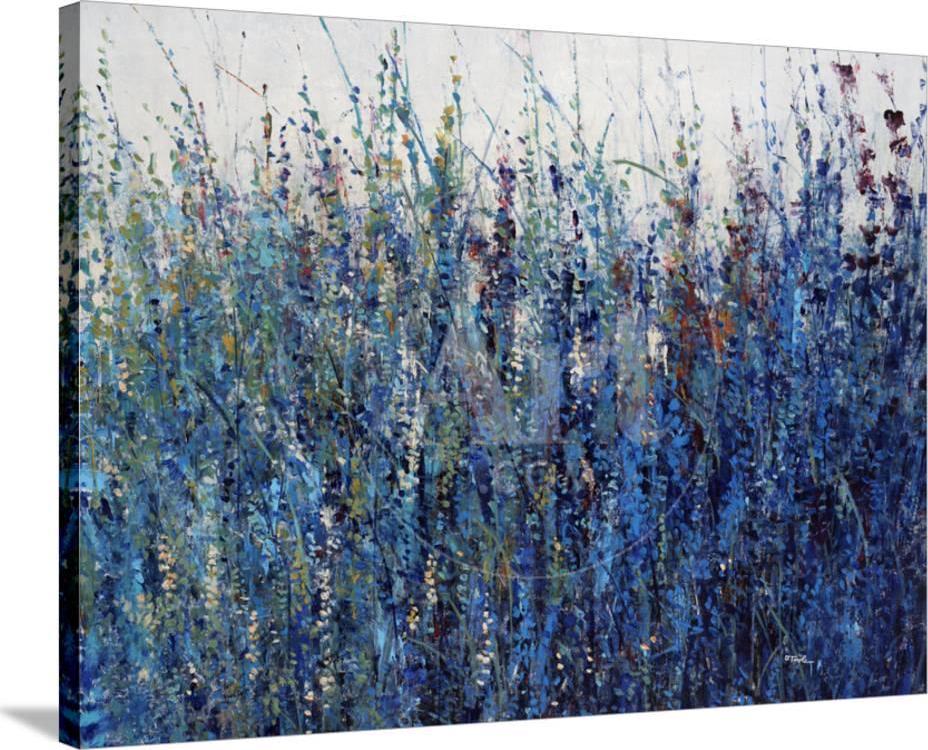 Blue Vision, Botanical Gallery-Wrapped Canvas Print Wall Art by Tim O'toole