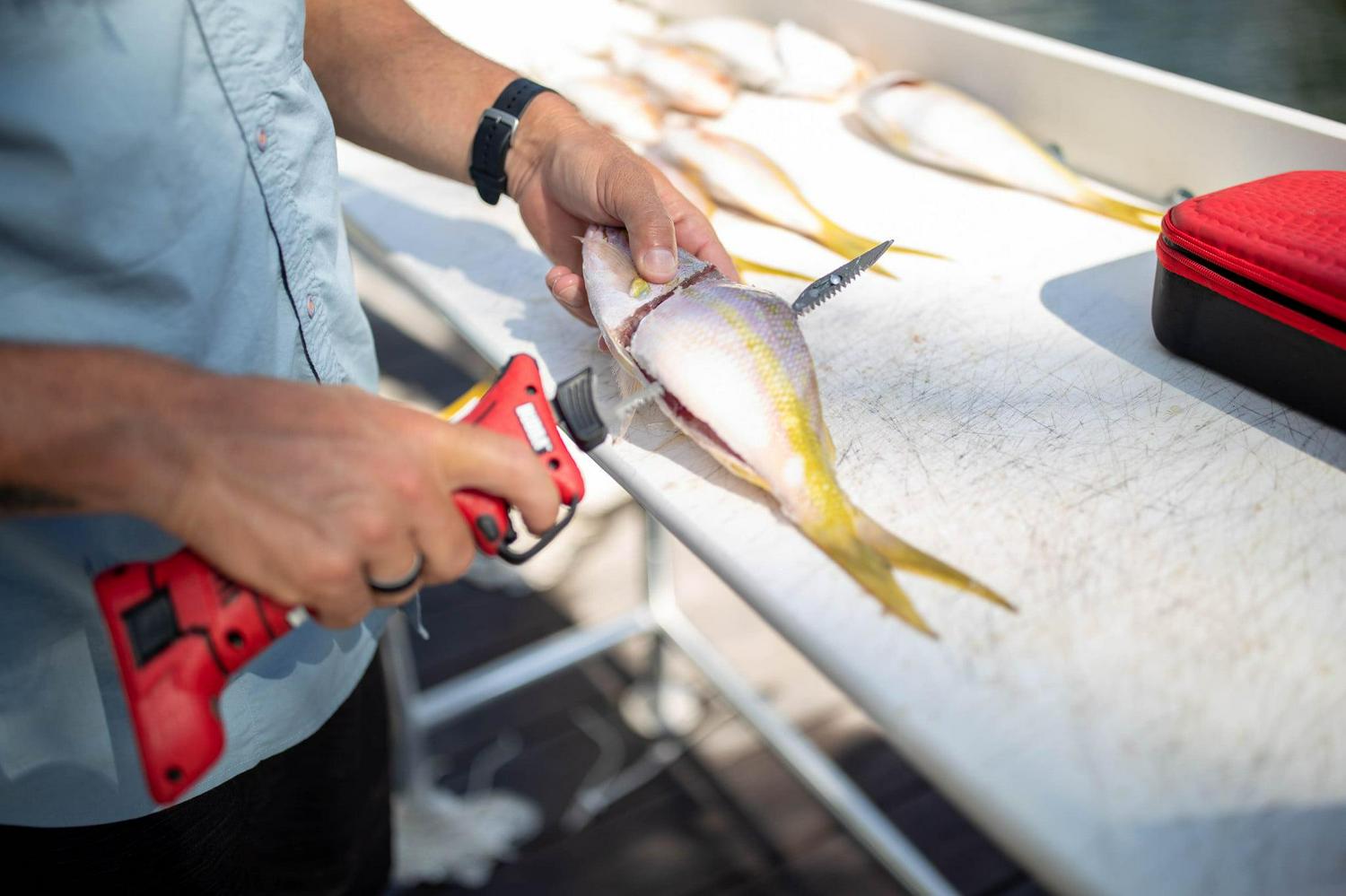 Li Ion Electric Fillet Knife - Image 3