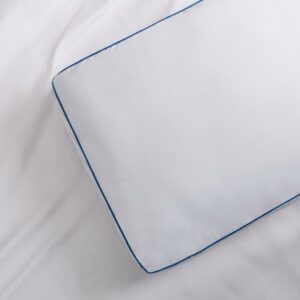 Cannon Extra Firm 3 Inch Gusset Jumbo 2 Pack Pillow