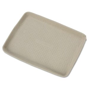 Chinet StrongHolder Molded Fiber Food Trays, 1-Compartment, 9 x 12 x 1, Beige, Paper, 250/Carton
