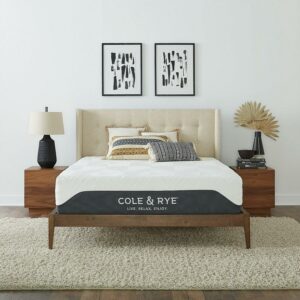 Cole & Rye Spirit 10" Medium Cooling Gel Memory Foam Hybrid Mattress, Queen