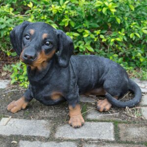 Hi-Line Gift Ltd. Dachshund