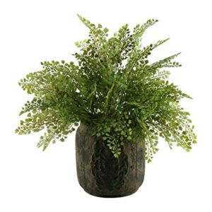 D&W Silks Flat iron fern in ceramic planter