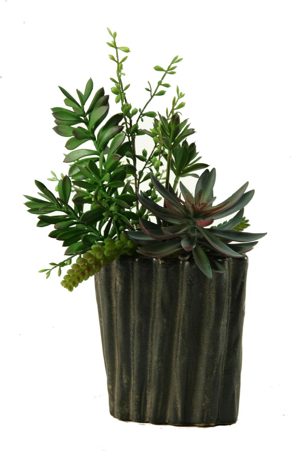 D&W Silks Succulents, Aloe and Dracaena Heads in Oval Ceramic Planter