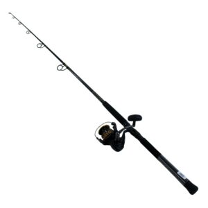 Daiwa BG Saltwater Spinning Fishing Rod and Reel Combo - 4500/701MH