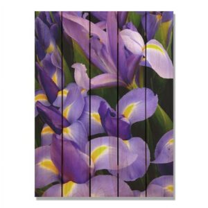 Day Dream HQ 28 x 36 in. French Iris Inside & Outside Wood Wall Art