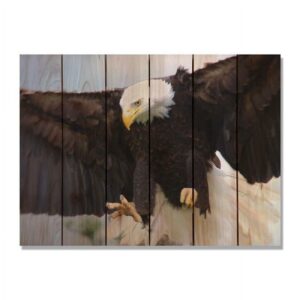 Day Dream HQ Bald Eagle Inside & Outside Wood Wall Art - 33 x 24 in.
