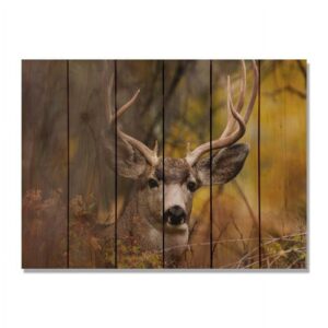 Day Dream HQ PL3324 33 x 24 in. Perfect Look Inside & Outside wood Wall Art