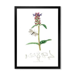 Designart 'Ancient Insects and Plants II' Farmhouse Framed Art Print
