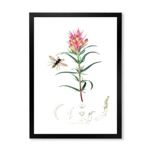 Designart 'Ancient Insects and Plants I' Farmhouse Framed Art Print