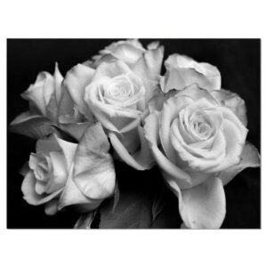 Designart 'Bunch of Roses Black and White ' Floral Art Canvas Print