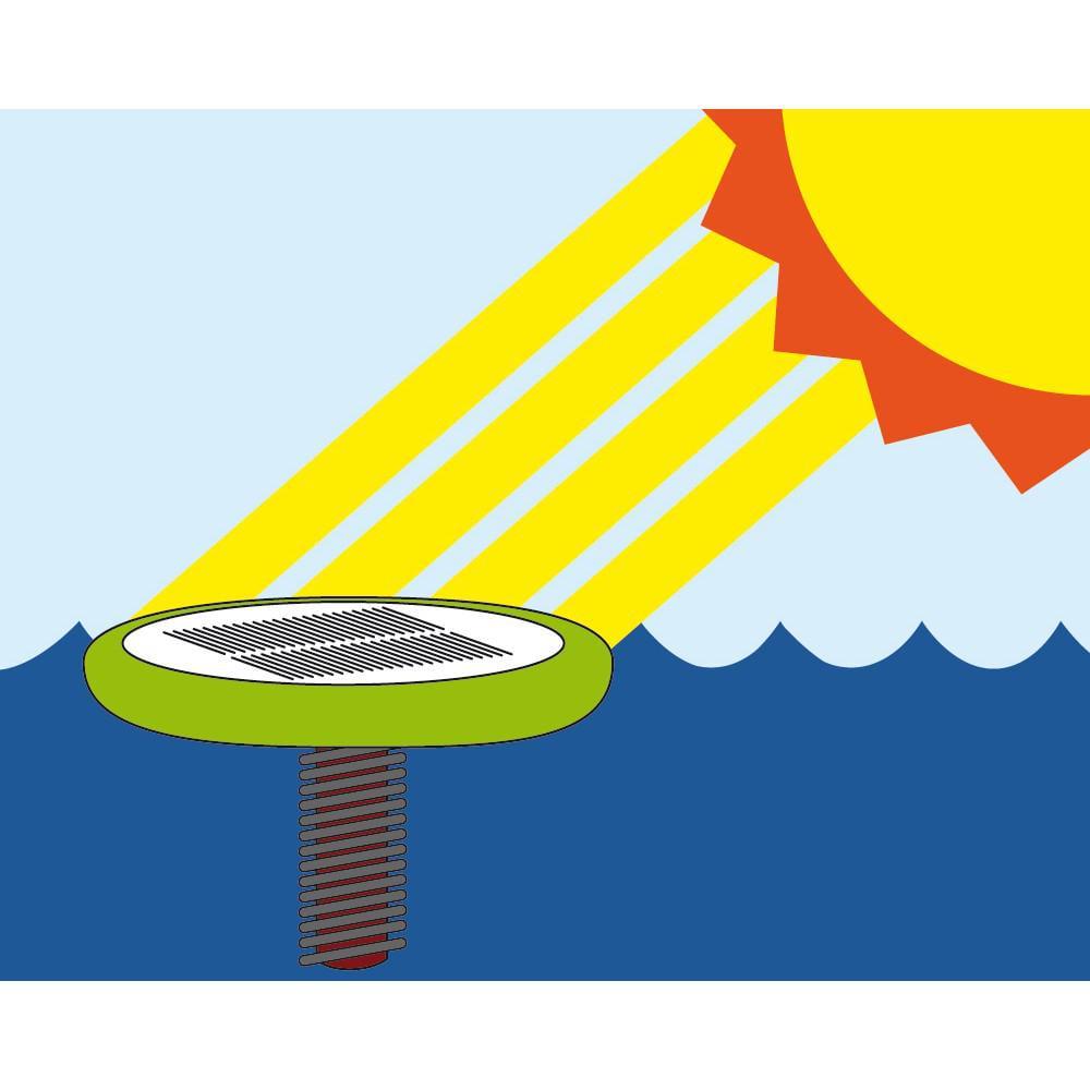 Eko Klor Solar Ionizer for Swimming Pools - Image 5