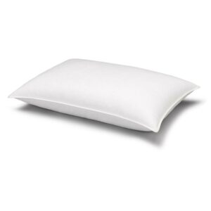 Soft Luxurious White Goose Down 100% Certified RDS Stomach Sleeper Pillow