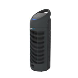 Envion Therapure Air Purifier TP350 (HEPA-Filter, Variable Speed Settings, Black)
