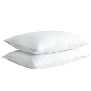 Firefly Twin Pack White Down and Feather Pillow - Jumbo