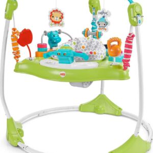 Fisher-Price Baby Bouncer Fitness Fun Folding Jumperoo Infant Activity Center with Lights & Music, Unisex