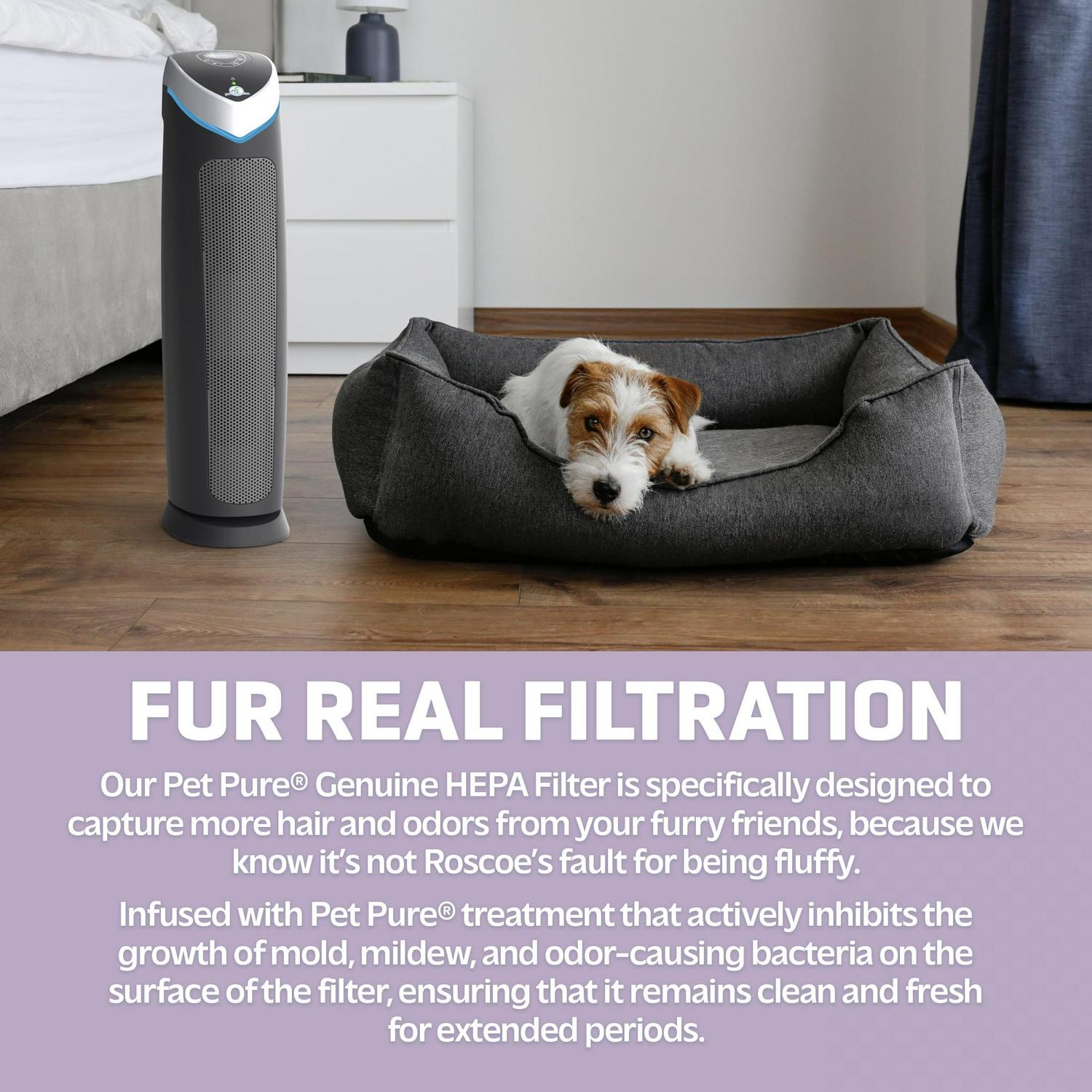 GermGuardian Air Purifier with HEPA Pet Pure Filter, UV-C, Removes Pet Dander, 915 Sq. ft, AC5250PT - Image 5