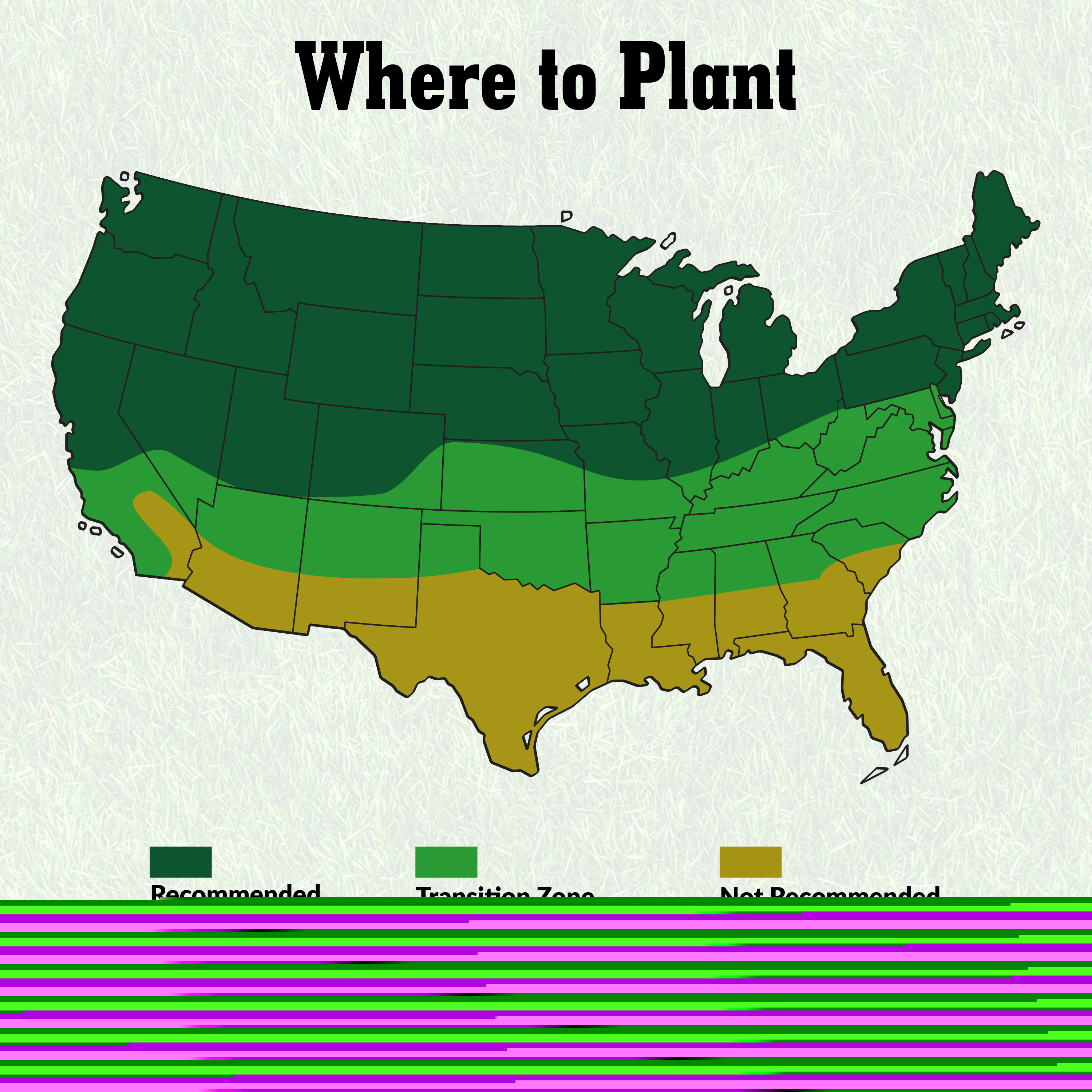 GreenView Pure Grass Seed Dense Shade Mixture, 20 lb. Bag – Covers up to 10,000 sq. ft. - Image 7