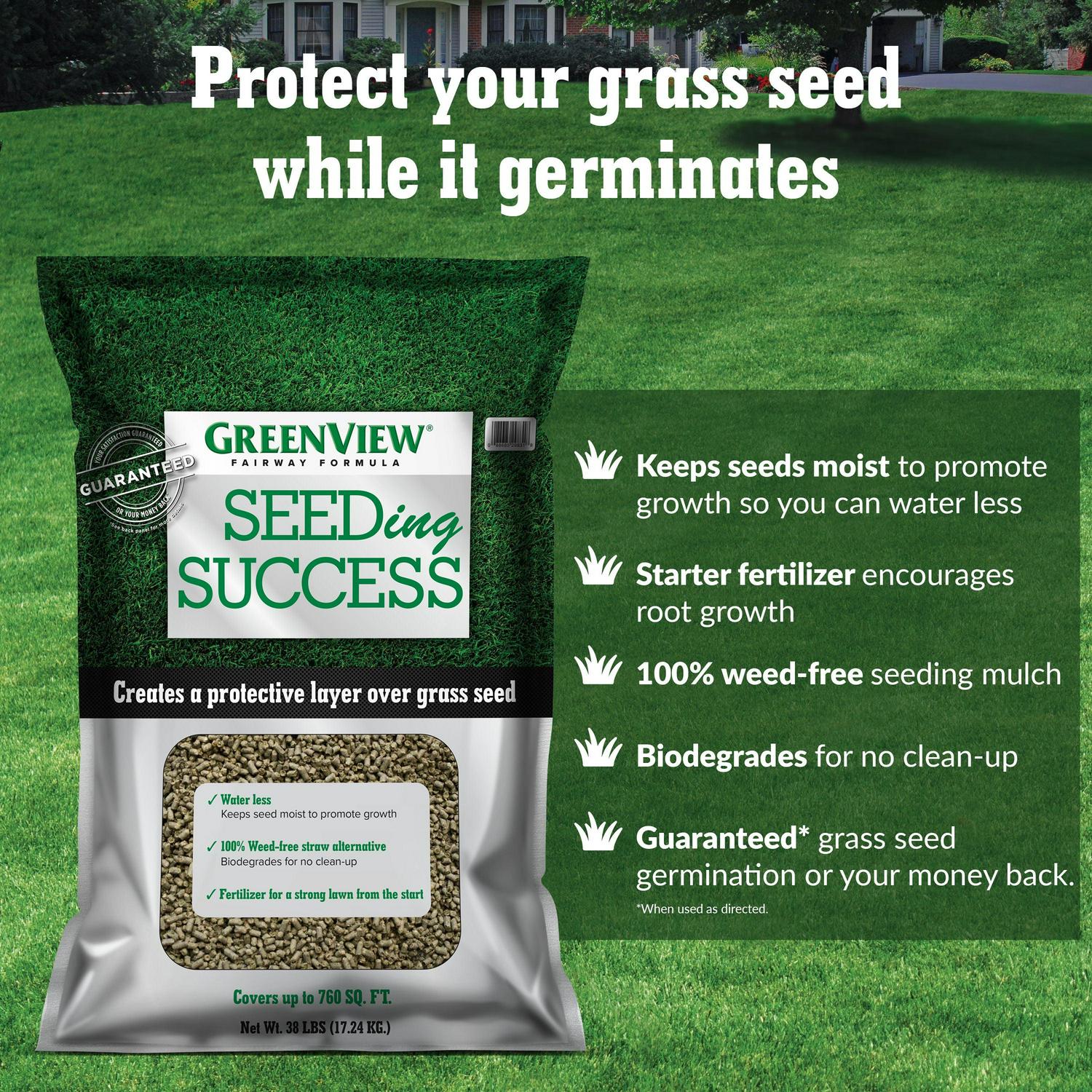 GreenView Pure Grass Seed Dense Shade Mixture, 20 lb. Bag – Covers up to 10,000 sq. ft. - Image 4