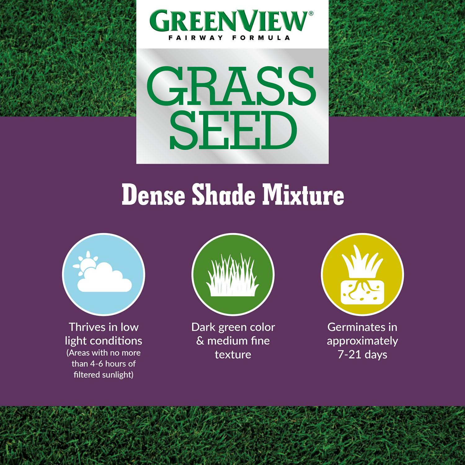 GreenView Pure Grass Seed Dense Shade Mixture, 20 lb. Bag – Covers up to 10,000 sq. ft. - Image 3