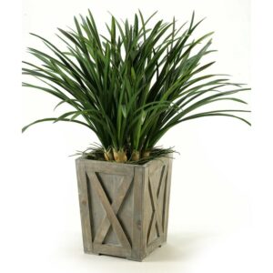 Green Areca Grass in Weathered Planter Box