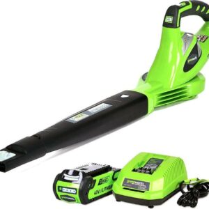 Greenworks 40V 135 CFM Leaf Blower/Sweeper with 2.0 Ah Battery, 24252