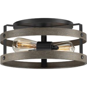 P350169-143-Progress Lighting-Gulliver - 2 Light Flush Mount-Graphite Finish