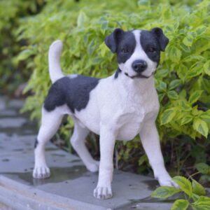 HI-LINE GIFT LTD. STANDING JACK RUSSELL